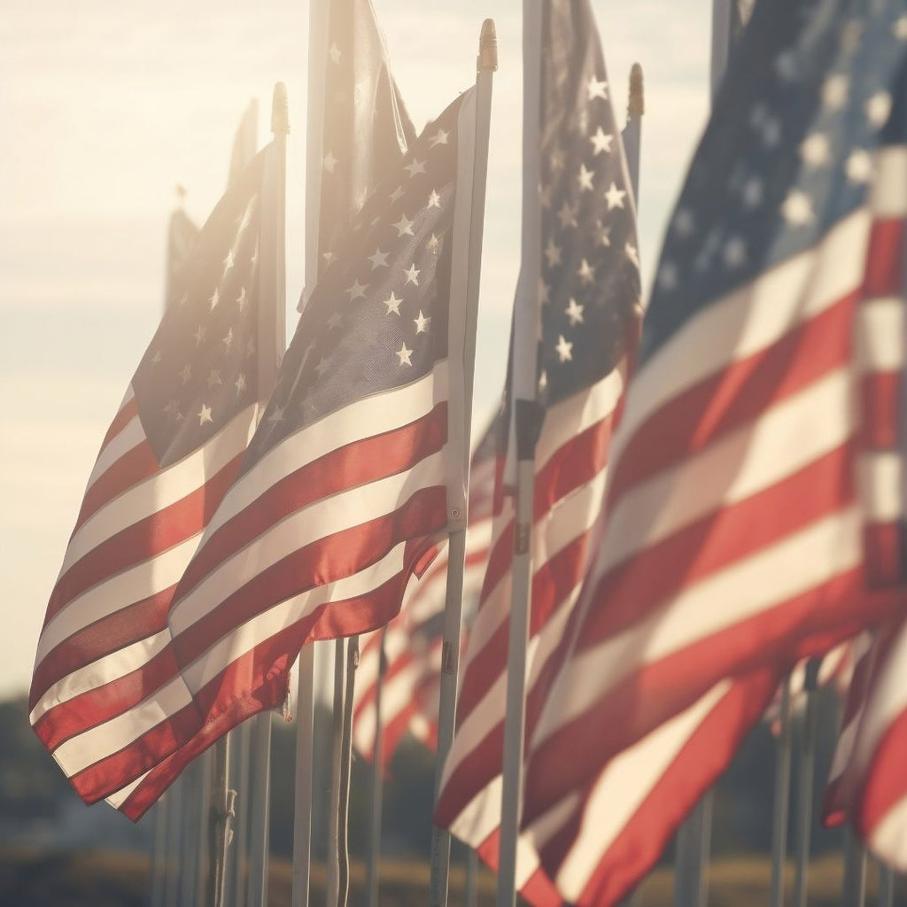 Memorial Day Update: No Changes to Delivery or Pickup Schedule 🇺🇸